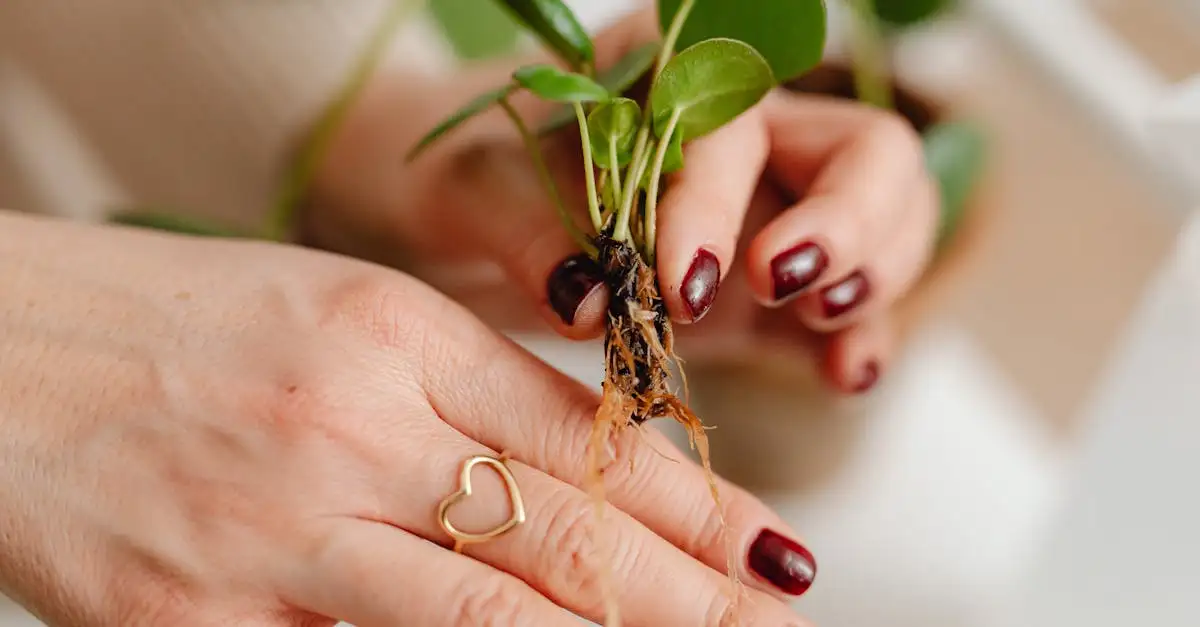 Bijoux Acier : Tendances et Durabilité Inégalées