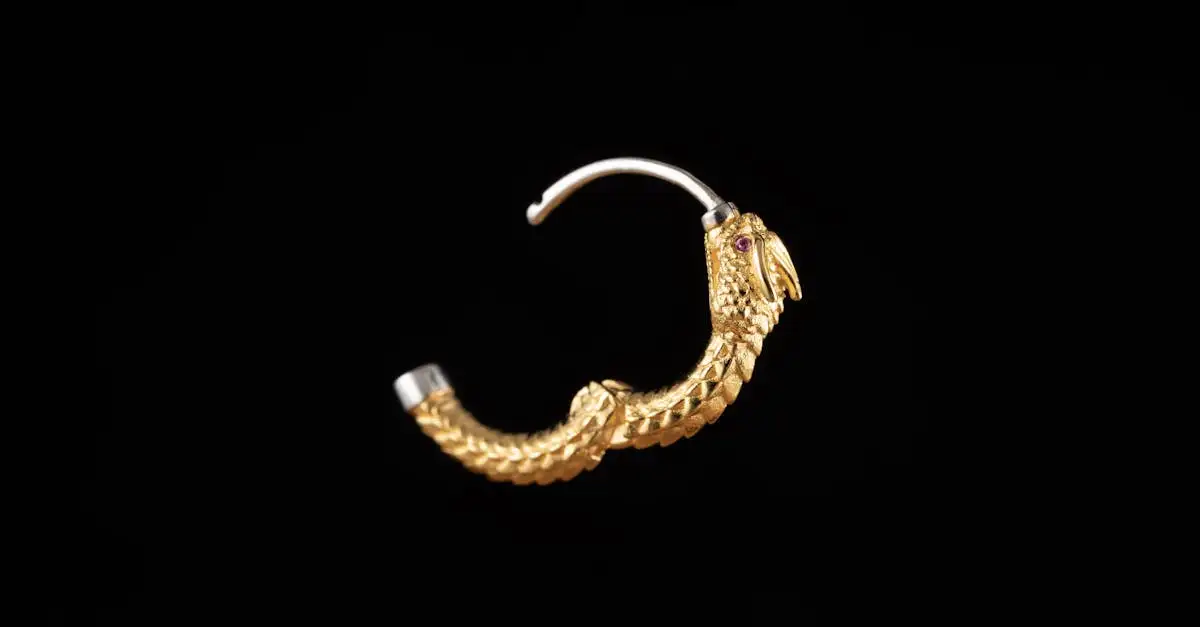 Petit Anneau d'Oreille : Bijoux Discrets et Tendance